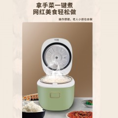 艾贝丽低糖饭煲家用电饭锅5L大容量便捷操作式ABL-FB50 艾贝丽低糖电饭煲