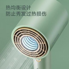 飞科 FLYCO 电吹风机 柔风负离子恒温护发 家用冷热大风量 快速干发低噪音吹风筒 礼物送女友FH6310