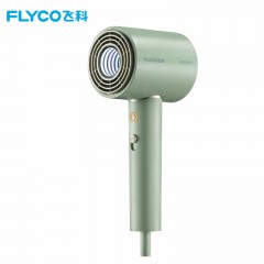 飞科 FLYCO 电吹风机 柔风负离子恒温护发 家用冷热大风量 快速干发低噪音吹风筒 礼物送女友FH6310