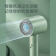 飞科 FLYCO 电吹风机 柔风负离子恒温护发 家用冷热大风量 快速干发低噪音吹风筒 礼物送女友FH6310