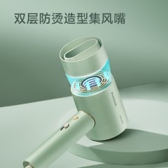 飞科 FLYCO 电吹风机 柔风负离子恒温护发 家用冷热大风量 快速干发低噪音吹风筒 礼物送女友FH6310
