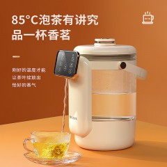 美菱MJ-LC2501液体加热器（电热开水瓶）