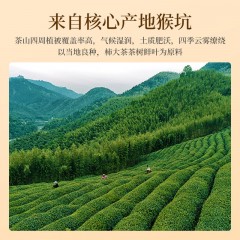 祥源茶 茶叶正宗黄山太平猴魁安徽绿茶礼盒装 90g