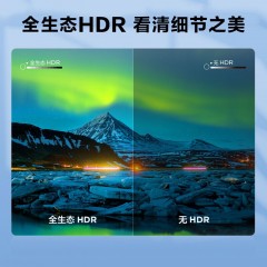 TCL 43英寸 4K超高清电视 2+16GB 双频WIFI 远场语音支持方言 家用商用电视 43G60E