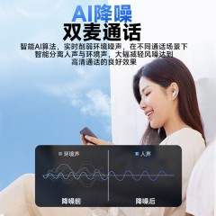 飞利浦（PHILIPS）TAT2169 半入耳式真无线蓝牙耳机 黑色