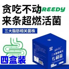 英贝健益菌粉b420高纤维超燃活菌体饮料瘦子菌官方b420瘦子菌  天蓝色 四盒装