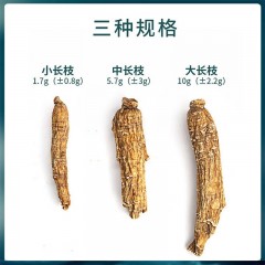 美国西洋参参农协会大长枝10g(±3g)500克/盒