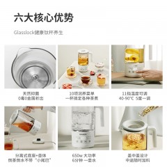 GLASSLOCK韩国品牌纯钛养生壶家用多功能办公室小型养生杯自动煮茶器办公室煮茶器养生水壶煮茶养生壶 纯钛养生壶 0.6L