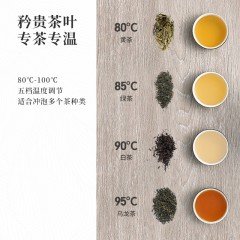 鸣盏养生壶煮茶器煮茶壶家用烧水壶电水壶不锈钢防干烧电茶壶煮茶壶桌面茶吧机手冲壶茶艺壶MZ152 茶艺壶