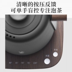 鸣盏养生壶煮茶器煮茶壶家用烧水壶电水壶不锈钢防干烧电茶壶煮茶壶桌面茶吧机手冲壶茶艺壶MZ152 茶艺壶