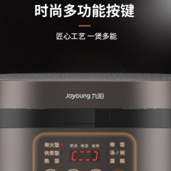 九阳（Joyoung）电饭煲家用 多功能大功率智能预约 3L容量适2-4人 电饭煲F30FY-F311