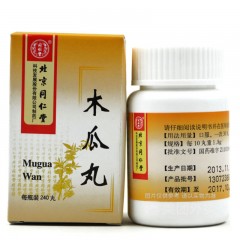 木瓜丸