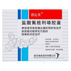 盐酸氟桂利嗪胶囊