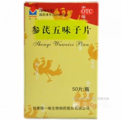 参芪五味子片