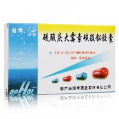 硫酸庆大霉素碳酸铋胶囊