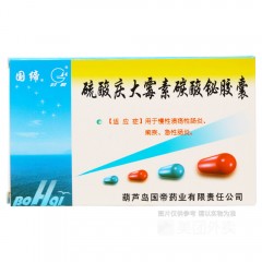 硫酸庆大霉素碳酸铋胶囊