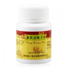 参芪五味子片