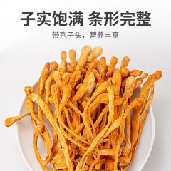 方家铺子蛹虫草180g*2瓶 条形完整 色泽橙黄 菌香味浓