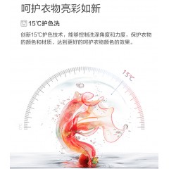 惠而浦（whirlpool） 10公斤大容量全自动滚筒洗衣机洗烘一体机 15℃护色洗 双模烘干 1.03洗净比 CWD061204BS