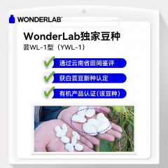 WonderLab 白芸豆压片糖果（柠檬百香果味）-20粒装