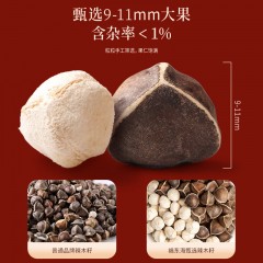 福东海 辣木籽300克 手工精选 饱满大果辣木子茶那木子纳木辣籽仁黑壳白果辣木子煲汤泡水熬粥