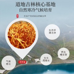 福东海 虫草花50克 蛹虫草北虫草花 菌菇干货炖汤煲汤火锅食材 金虫草花大孢子头