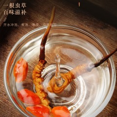 福东海 冬虫夏草20克 4条/g 整草无断草可磨粉泡酒 冬虫夏草礼盒滋补品送礼佳礼品