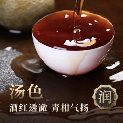 碧岩韵茶红罐10年小青柑2*250g十年熟普HGQG500 茶叶礼品自饮送礼送长辈