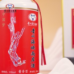 贵州茅台集团 海峡两岸酒53°酱香型 500ml*6瓶整箱 酱香型白酒商务宴请送礼聚会名酒