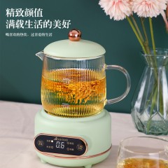 Abereve艾贝丽电炖杯液体加热器养生壶ABL-DD73 薄荷绿 500ml