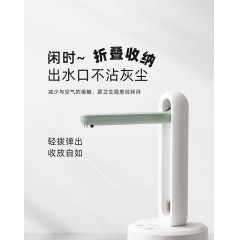 小熊（Bear）桶装水抽水器 电动压水器 自动吸水器 矿泉水上水器 饮水机抽水泵 台桶两用 YSJ-D05M1