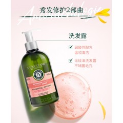 L'OCCITANE欧舒丹5合1草本菁纯修护洗发露（红标）500ml