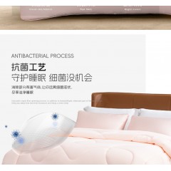 水星家纺床上用品DH远山含黛抗菌防螨冬被 220cm*240cm 126723