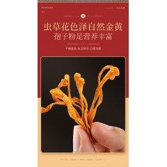 【福东海】山珍菌菇310克/盒-牛肝菌70克鹿茸菇70克姬松茸100克虫草花70克