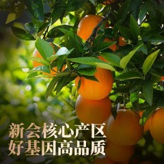 雷允上新会陈皮十五年 广东老陈皮干15年 陈皮茶泡水250克礼盒（滋补营养品补品此品为特殊贵重物品，一概售出，非质量问题，概不退款）