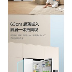 TCL轻音低噪 双变频智慧恒温养鲜 520升大容量养鲜冰箱BCD-520CWP1