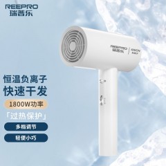 瑞普乐reepro电吹风机家用大功率速干吹风机负离子护发不伤发 RH1860