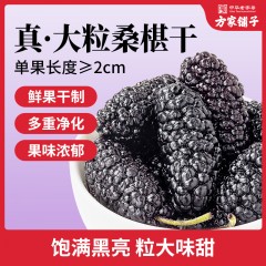 【方家铺子】桑椹干500g（六星）/瓶装