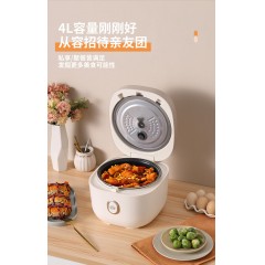 大宇电饭煲DYFB-424F 升级版