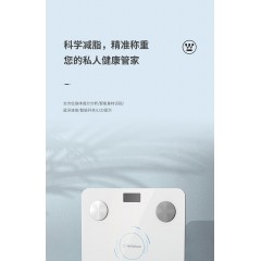 西屋（Westinghouse） 体脂秤WL-TC0102