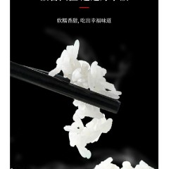 膳魔师电饭锅(电饭煲)香槟金EHA-4130A-CG