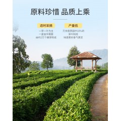 祥源茶茶叶祁门红茶特茗级正宗祁门工夫红茶叶礼盒装240g 宝华 端午节礼品送礼送长辈