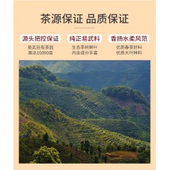 祥源茶茶叶普洱茶生茶 云南易武大树茶便携装迷你小沱茶盒装64g藏锋