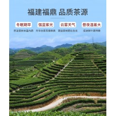 祥源茶茶叶白茶五年寿眉福建福鼎白茶散装40g