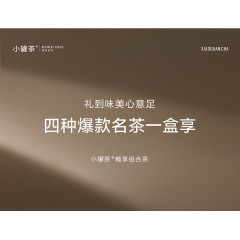 小罐茶 银罐20罐装拼装