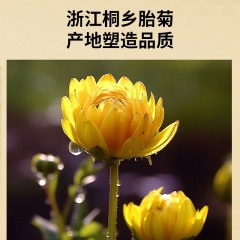 北京同仁堂 青源堂 菊花100g 桐乡头采菊花胎菊