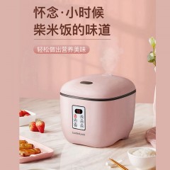 乐扣乐扣（LocknLock）电饭煲EJR635PIK 3L