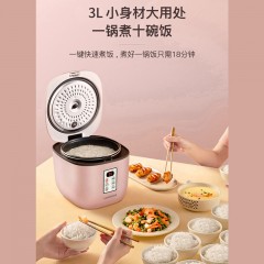 乐扣乐扣（LocknLock）电饭煲EJR635PIK 3L