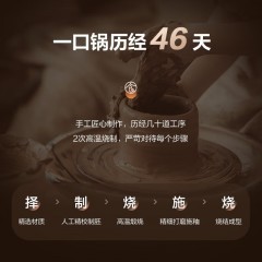 苏泊尔（SUPOR）砂锅陶瓷煲纷彩养生煲 明火专用TB35UA1 3.5L