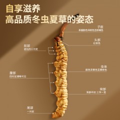 北京同仁堂青源堂 冬虫夏草 4条/克-1克 高档补品送人长辈父母滋补营养品可搭配人参铁皮石斛